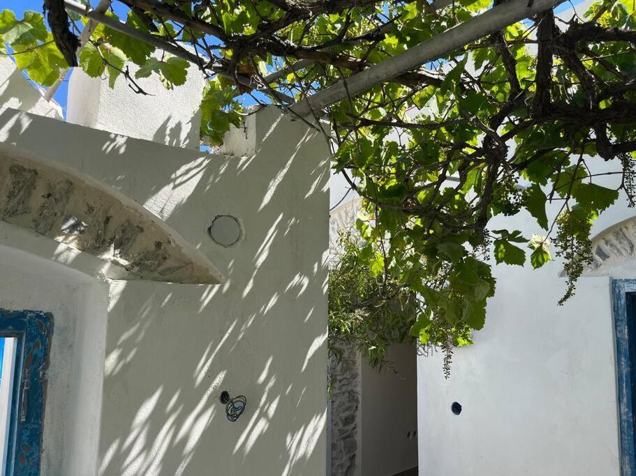 Dream House Little Villa - Amorgos Ngoại thất bức ảnh