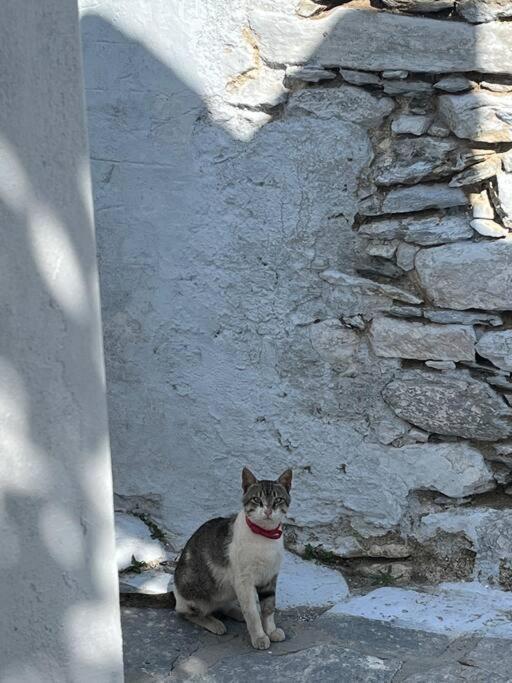 Dream House Little Villa - Amorgos Ngoại thất bức ảnh