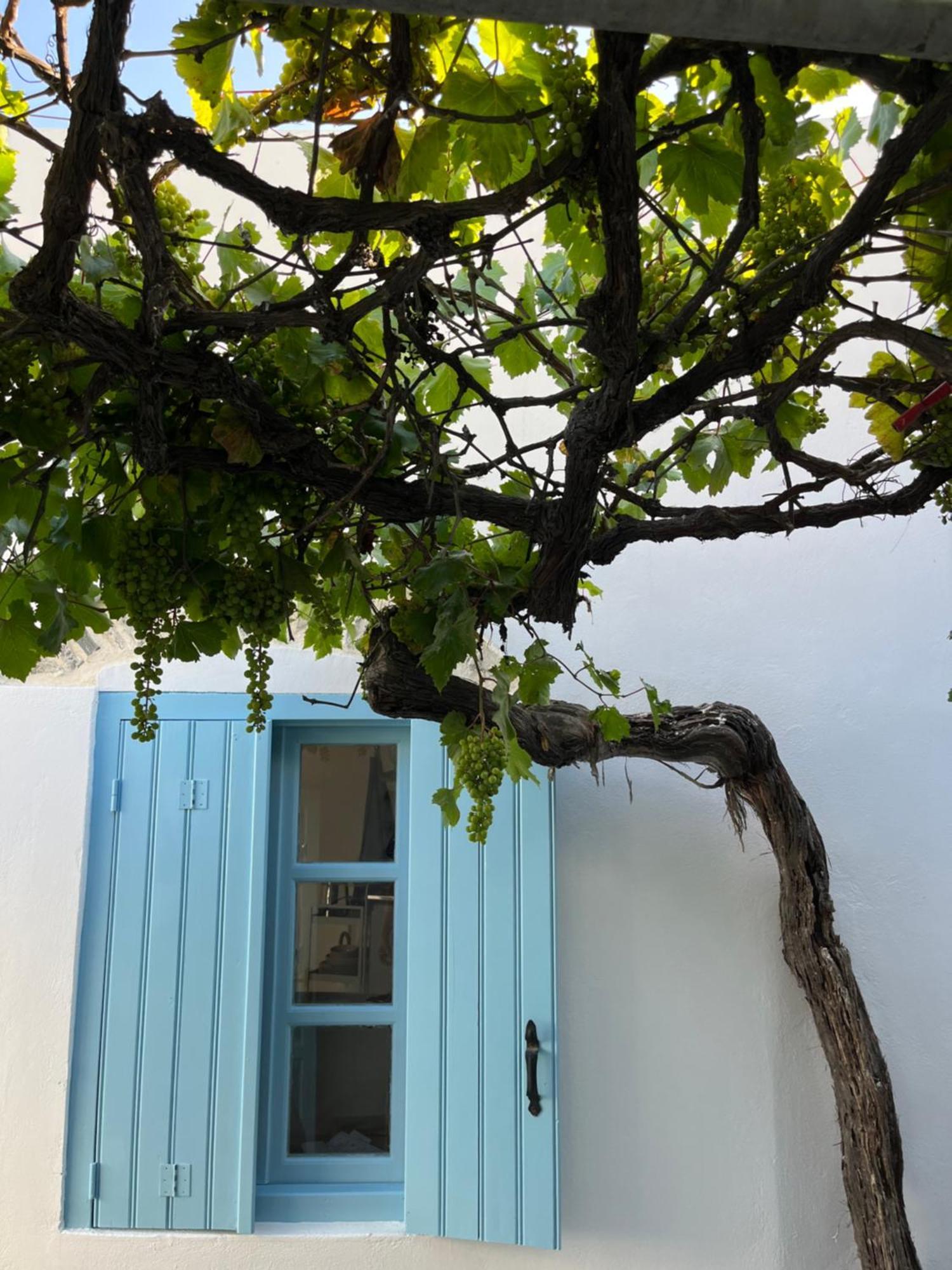 Dream House Little Villa - Amorgos Ngoại thất bức ảnh