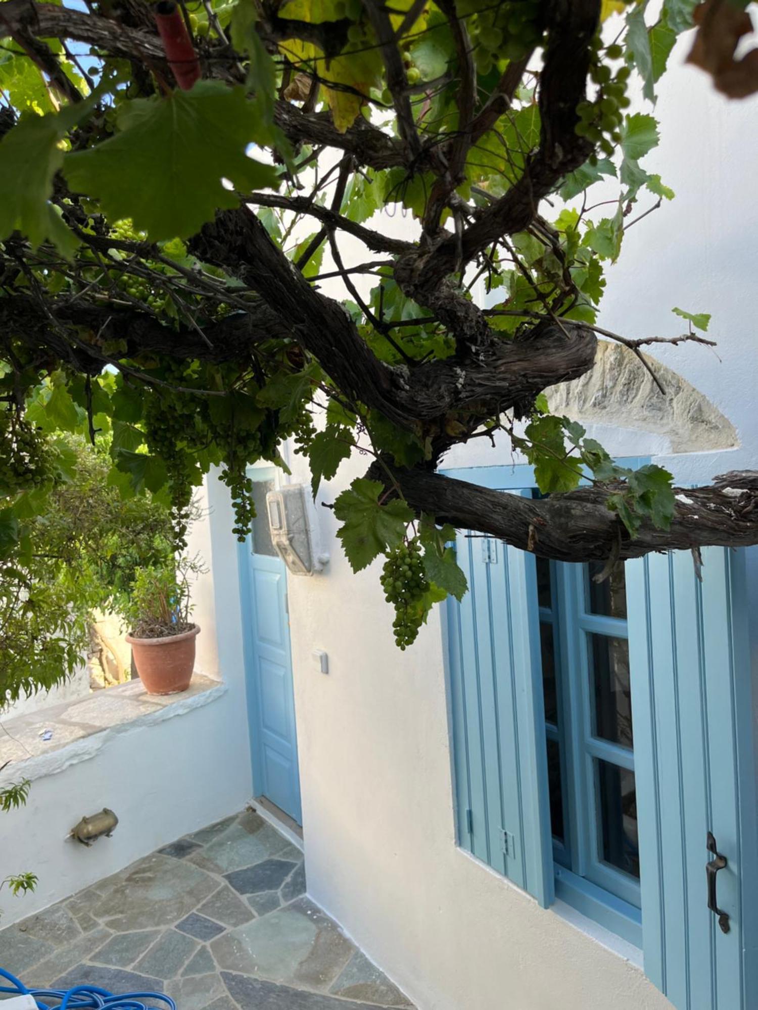 Dream House Little Villa - Amorgos Ngoại thất bức ảnh
